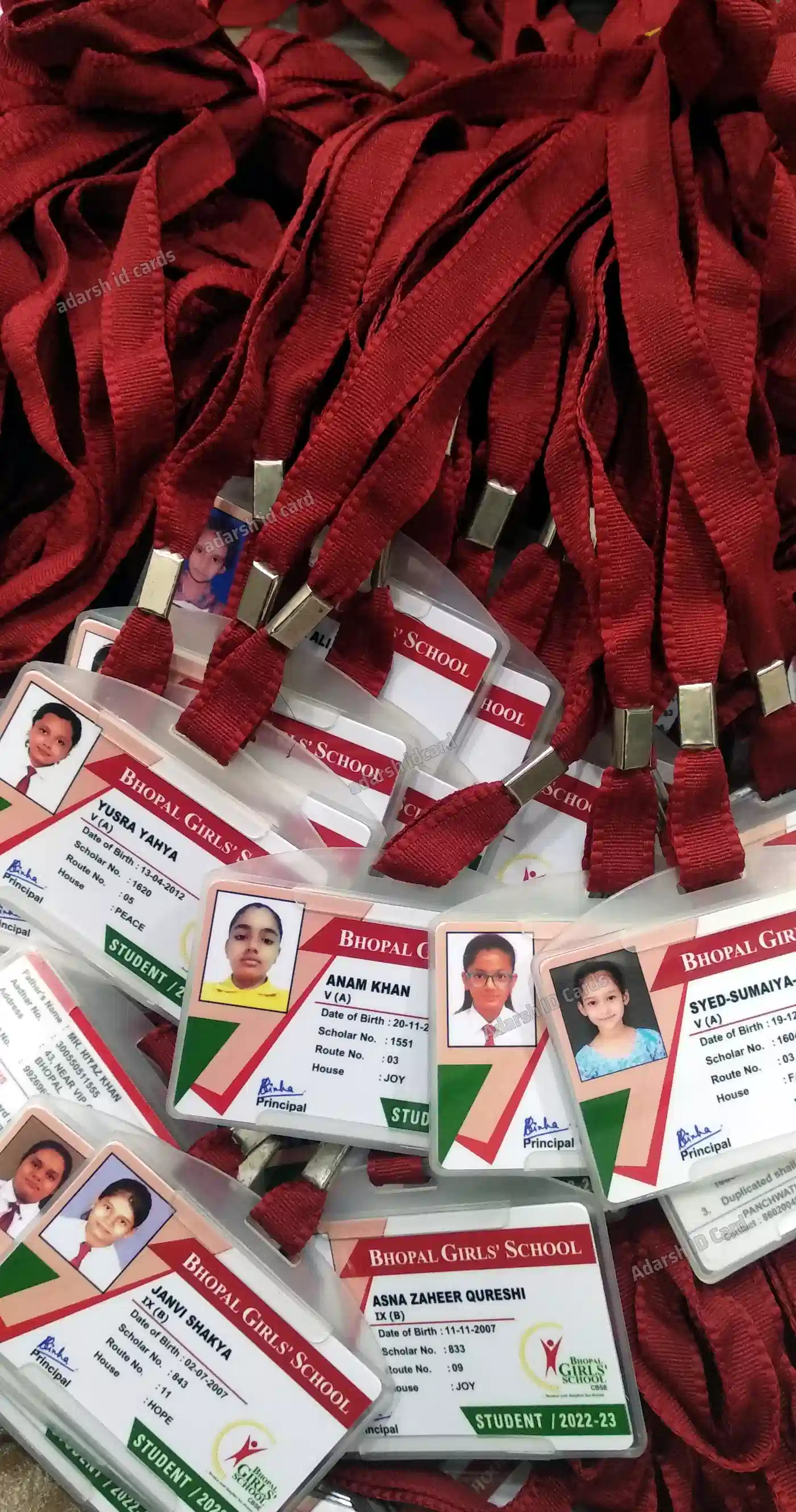 ID Cards 87FF72