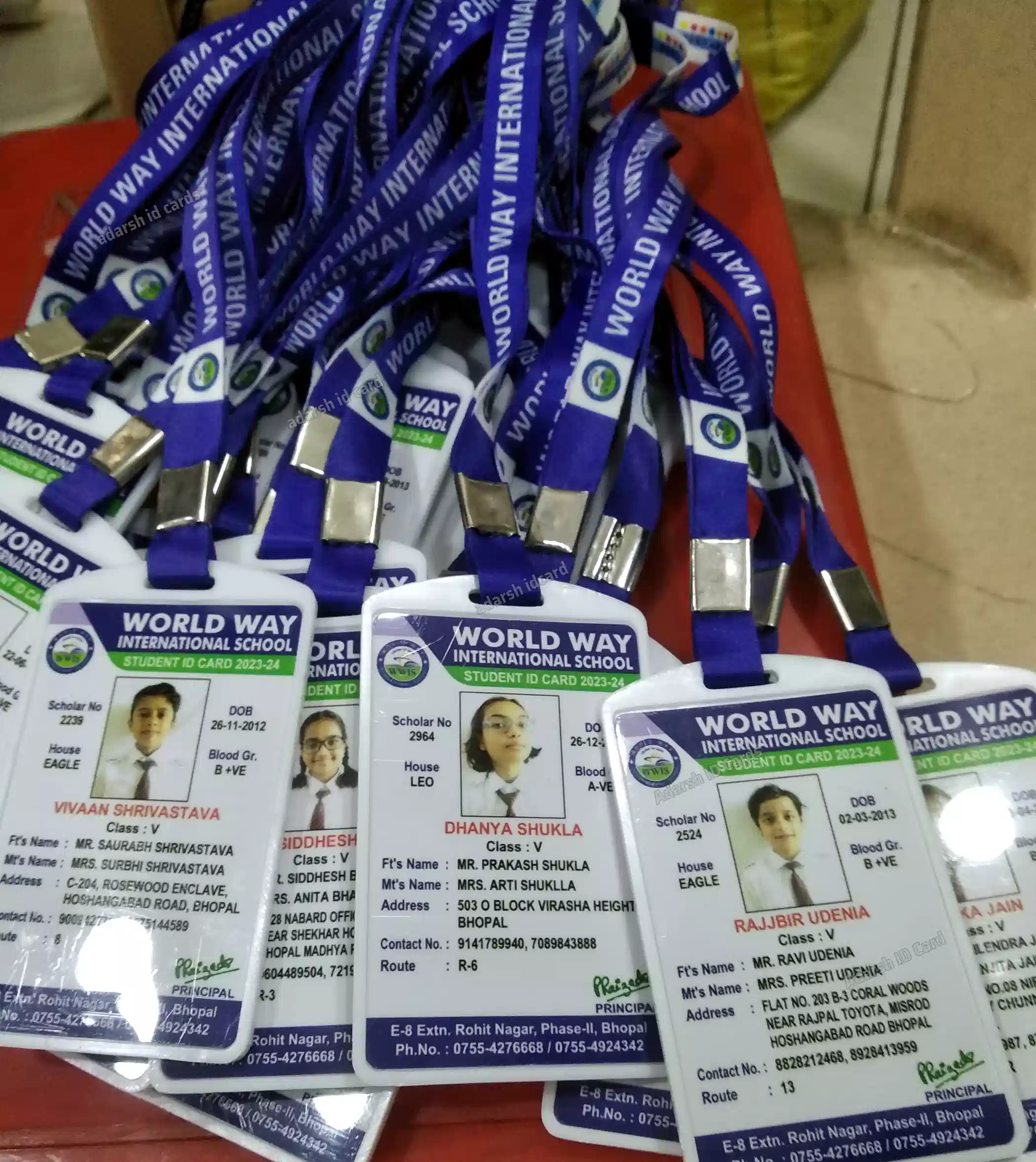 ID Cards 36D299